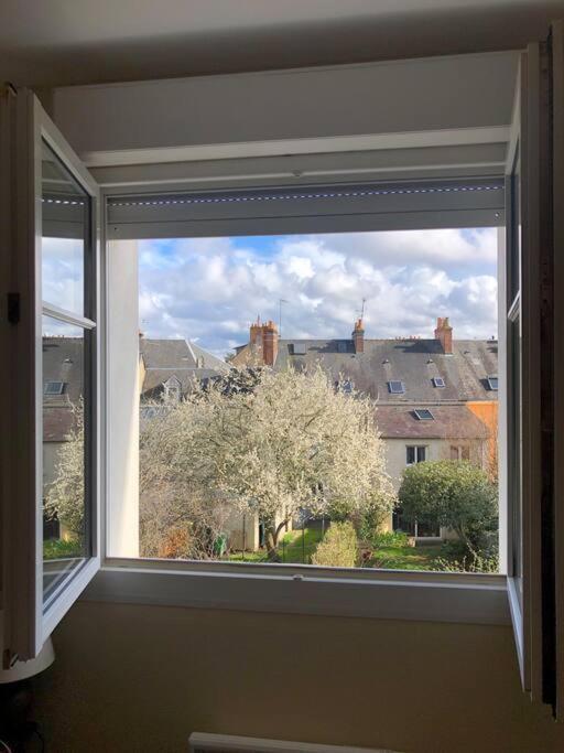 Appartement Plein Centre ルマン エクステリア 写真